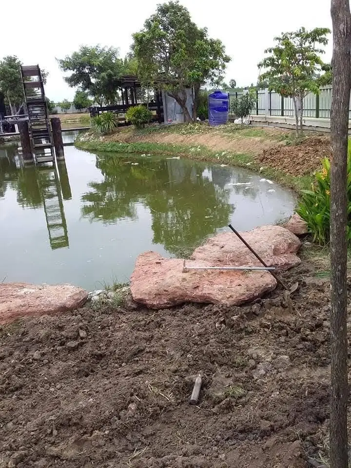 จัดหินริมบ่อปลาและปรับดินรอบบ่อ เตรียมปลูกต้นไม้ โคราช