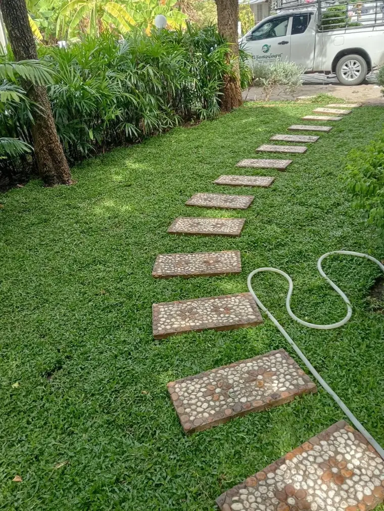 ทางเดินแผ่นหินกรวดล้างวางบนสนามหญ้าที่ปูใหม่ ในสวนบ้าน โคราช